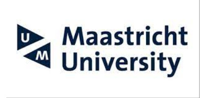 Maastricht University Foundation Programme